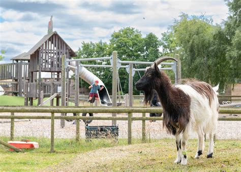 odds farm beaconsfield|Odds Farm Park – Animal Farm Park in High Wycombe, Bucks.
